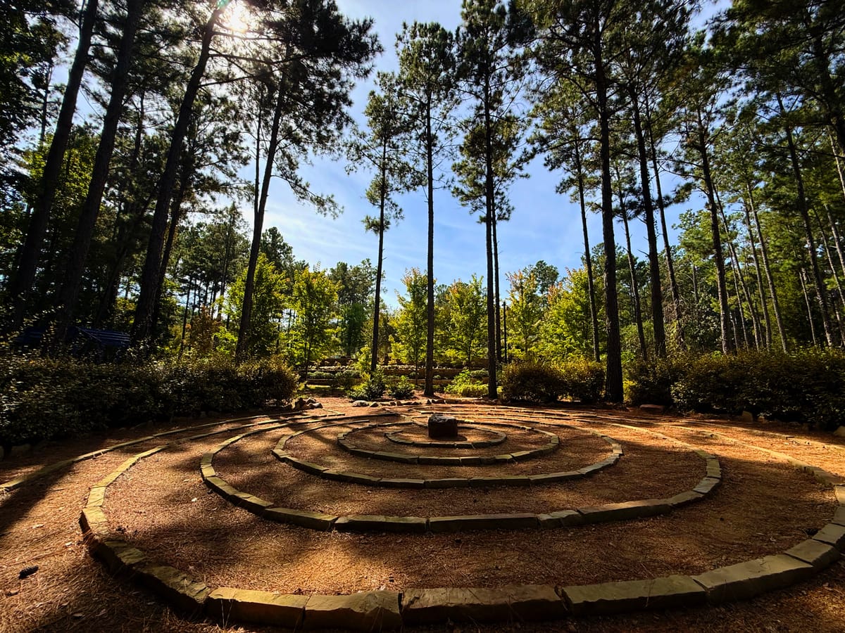 A Month of Gratitude (and a Season of Change)