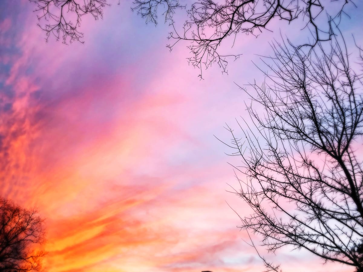 The Knowing. Before the Words.