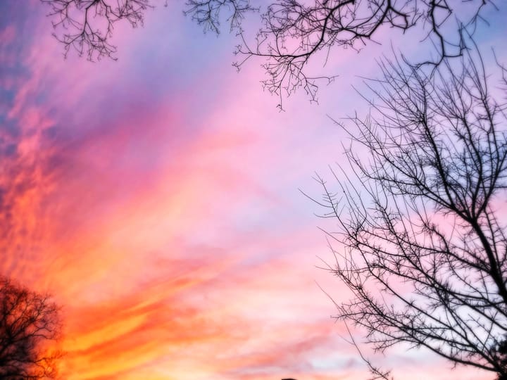 The Knowing. Before the Words.